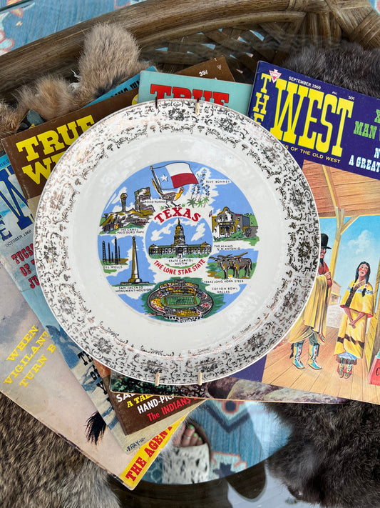 Texas Vintage Collector’s Plate