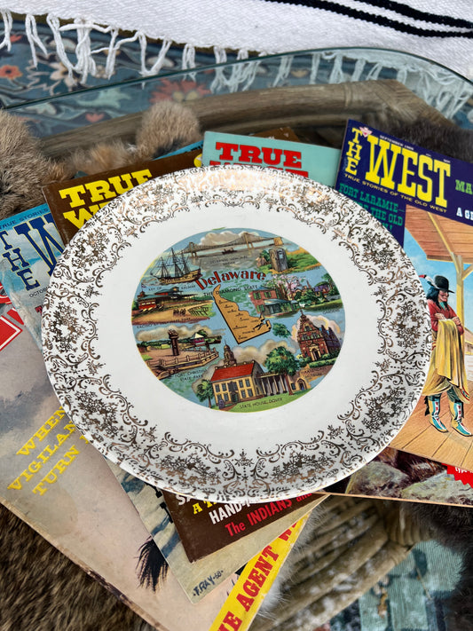 Delaware Vintage Collector’s Plate