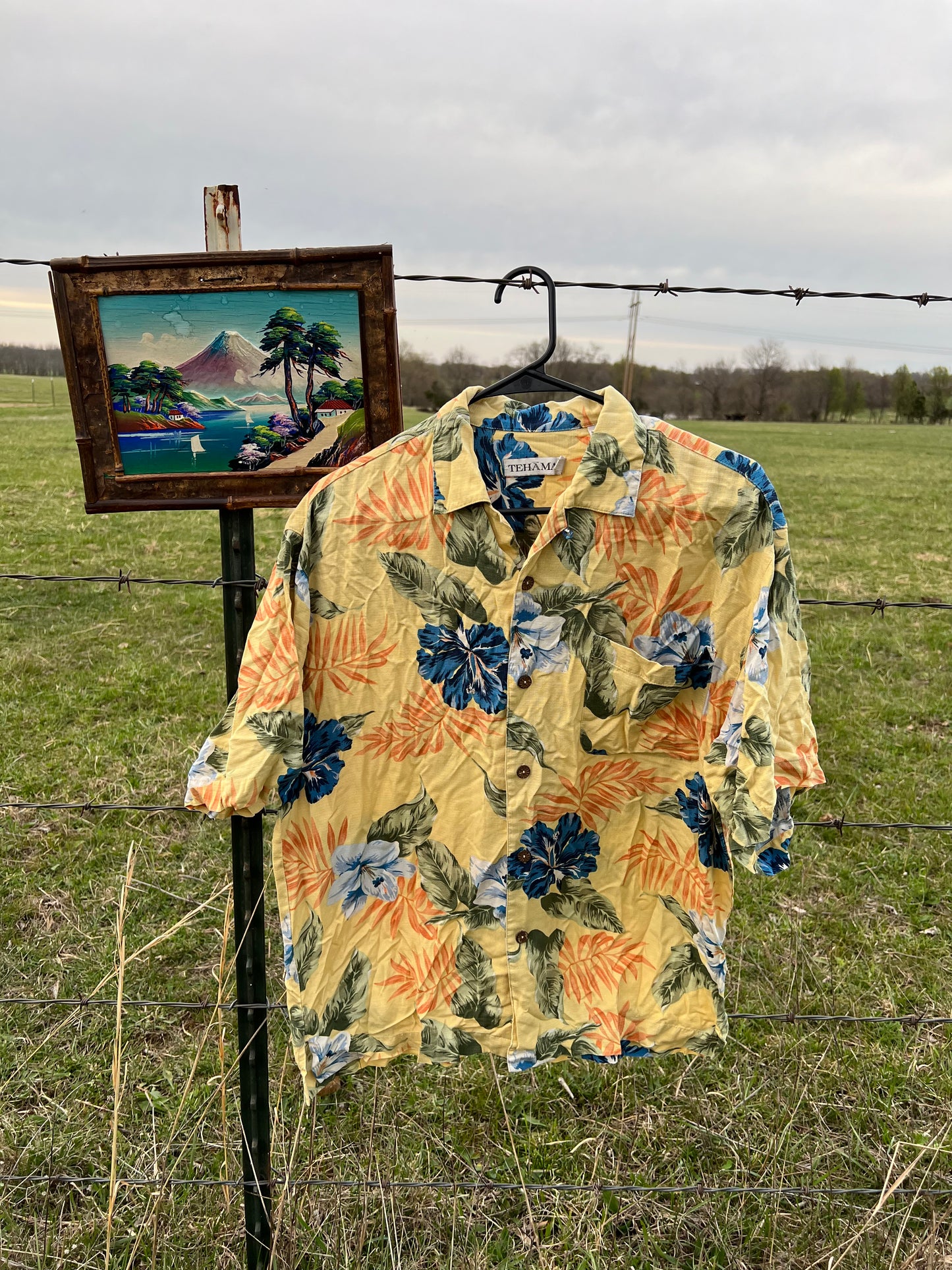 Pocketful of Sunshine Button-up Shirt